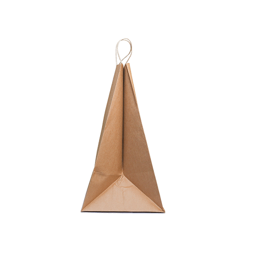 Side angle twisted handle brown kraft paper bag